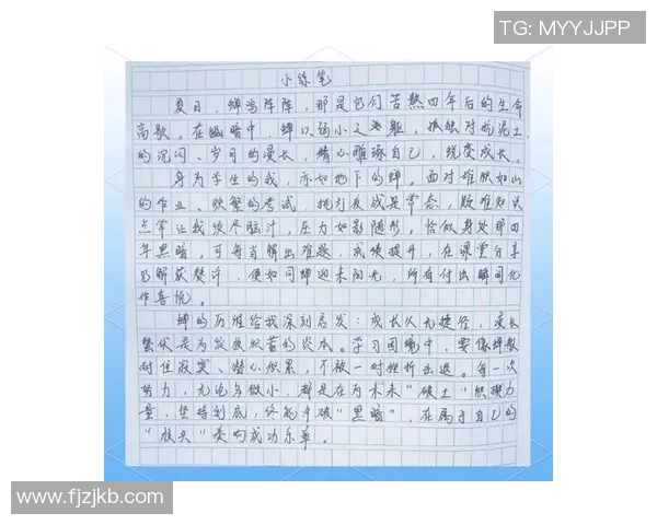 对话杨磊:回顾足球生涯中的挑战与成长之路