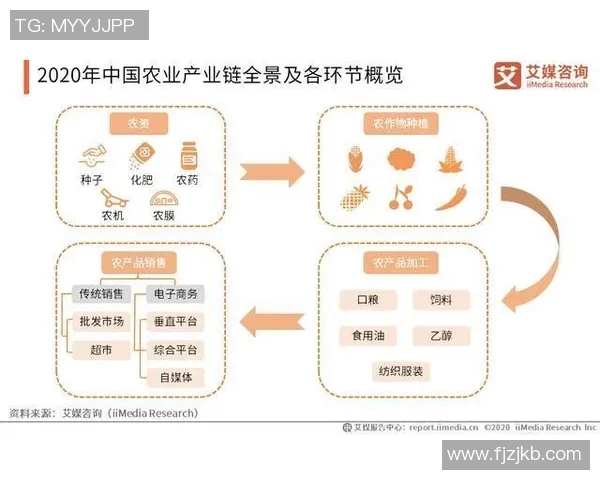 北京乒乓球队包夹战术创新探索与发展全景分析