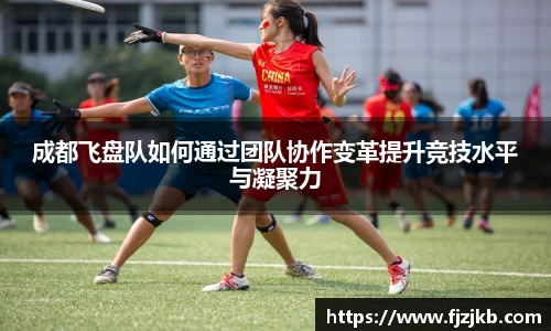 成都飞盘队如何通过团队协作变革提升竞技水平与凝聚力