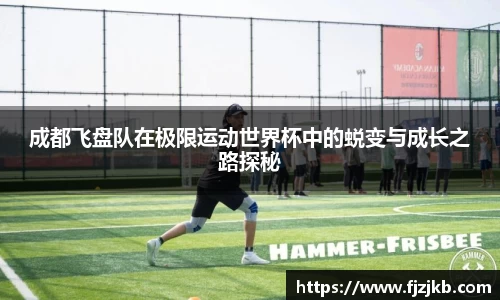 关键词4